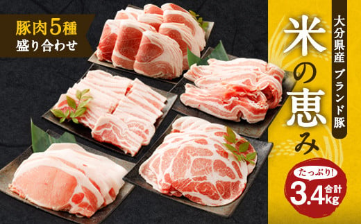 大分県産ブランド豚「米の恵み」豚肉5種 盛り合わせ 計3.4kg 豚肉 352420 - 大分県竹田市
