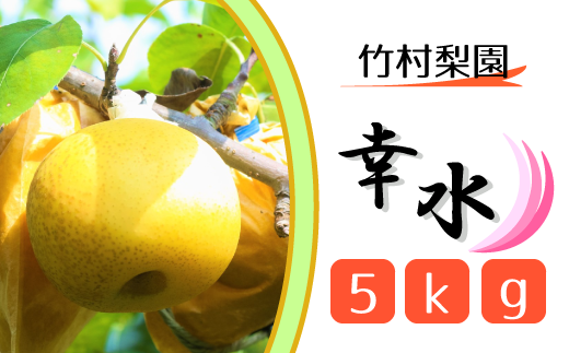 [竹村梨園]松戸の完熟梨「幸水」5kg