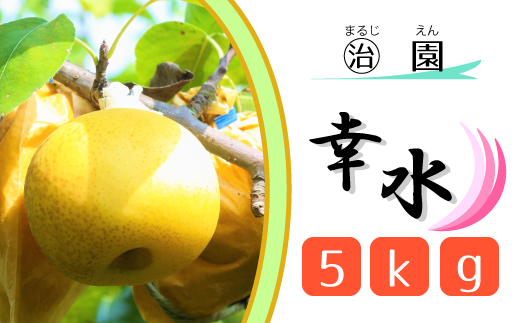 [丸治園]松戸の完熟梨「幸水」5kg