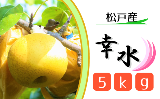 松戸の完熟梨「幸水」5kg