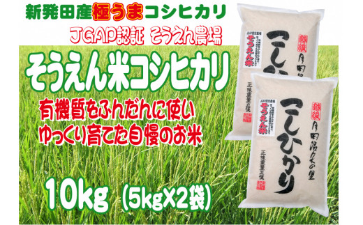 D09【令和４年産】そうえん米コシヒカリ５㎏×２袋