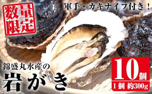 錦盛丸水産の岩がき 10個入 Kinsei 763 鹿児島県長島町 ふるさとチョイス ふるさと納税サイト