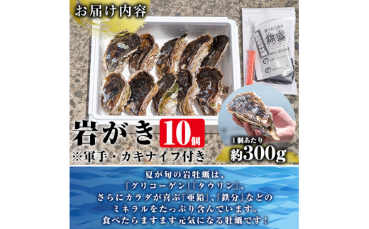 錦盛丸水産の岩がき 10個入 Kinsei 763 鹿児島県長島町 ふるさとチョイス ふるさと納税サイト