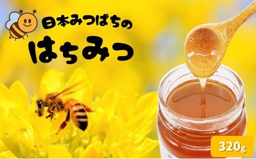 和水町産 日本蜜蜂のはちみつ｢希少品｣ 320g - 熊本県和水町