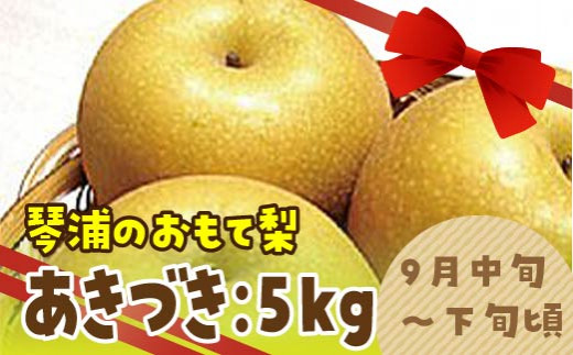 223.数量限定 鳥取県産梨 あきづき 5kg(10～12玉)