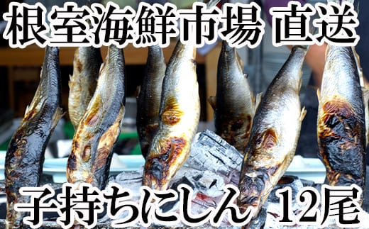 A 根室海鮮市場 直送 一夜干子持ちにしん12尾 北海道根室市 ふるさと納税 ふるさとチョイス