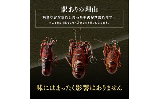 訳あり】冷凍伊勢海老（3～10尾）計2kg 【 伊勢海老 イセエビ 訳あり 魚介 】 - 宮崎県川南町｜ふるさとチョイス - ふるさと納税サイト