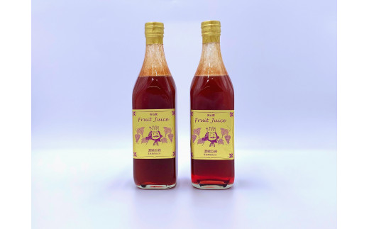 王さまのぶどうジュース 濃縮巨峰 500ml×2本 希釈タイプ ぶどう果汁