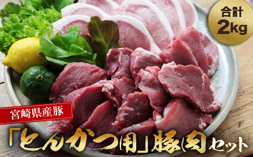 37 宮崎県産 とんかつ用 豚肉セット ロース ヒレ 合計2kg 宮崎県都農町 ふるさと納税 ふるさとチョイス