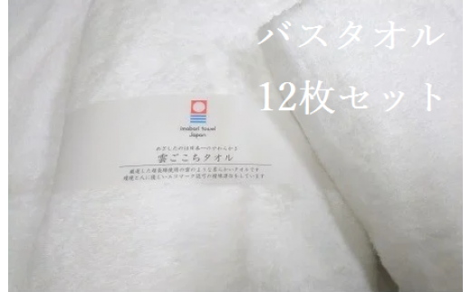 今治タオルブランド認定 J 501 雲ごこち バスタオル １２枚セット 愛媛県今治市 ふるさと納税 ふるさとチョイス