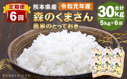 【定期便6回】熊本県産 森のくまさん 5kg(計30kg)精米 白米