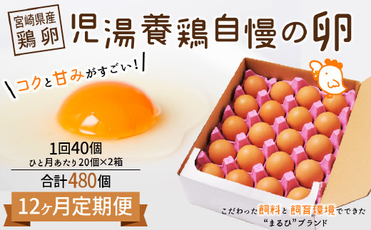 ＜児湯養鶏自慢の卵 計480個（40個×12回）＞12ヶ月定期便【E19】 
