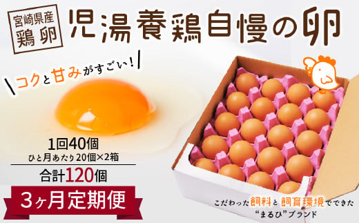 ＜児湯養鶏自慢の卵 計120個（40個×3回）＞3ヶ月定期便【C55】