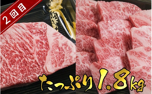 お肉の定期便 黒毛和牛 なかやま牧場の神石牛5kg 3ヵ月間毎月お届け Nina神石高原 寄付金の使い道を選択メニューにて Nina神石高原 を選択してください 広島県神石高原町 ふるさと納税 ふるさとチョイス