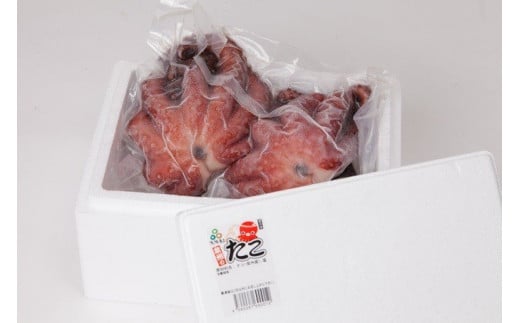 大阪産 泉タコ （ボイルたこ） 600g （1杯～3杯）×1袋 【2024年7月上旬より順次発送】 魚介類 海鮮 ゆで 冷凍