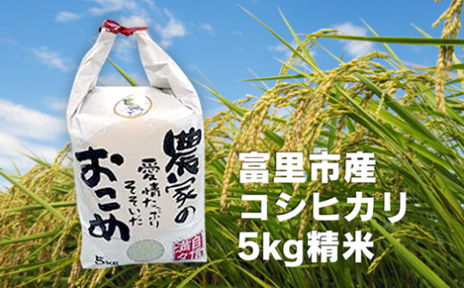 【精米済み】農家直送！ 千葉県富里市産 コシヒカリ 5㎏ 精米 精米5kg 米5kg 千葉 こしひかり