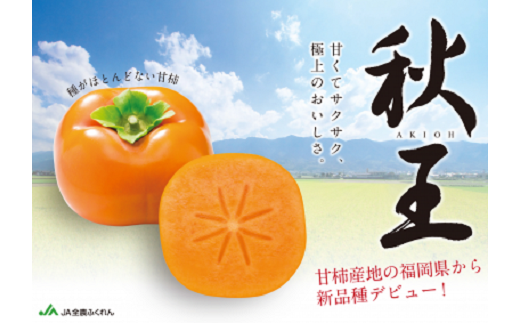 全国有数の柿生産地・福岡からお届けする新ブランド柿です。