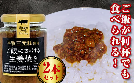 ご飯にかける生姜焼き 2本セット F20B-003