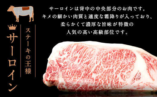 和牛 サーロイン ステーキ 400g（200g×2枚）黒毛和牛 牛肉