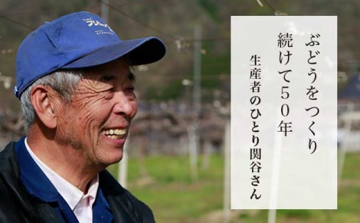 50年以上ぶどうを作り続けている関谷圀弘さんは、10種類以上のぶどうを栽培している、まさに小布施のぶどう名人です。