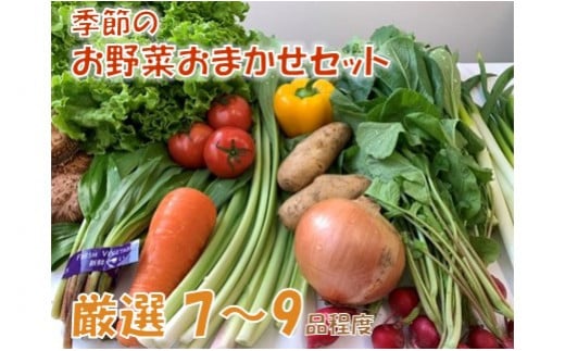 季節のお野菜おまかせセット 576944 - 岩手県洋野町