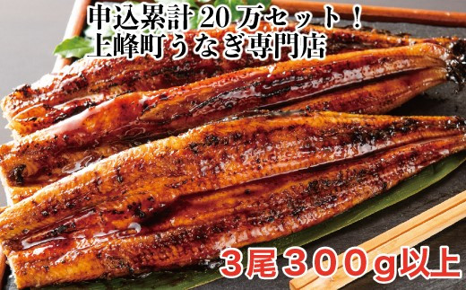 うなぎ人気ランキングの常連!国産うなぎ蒲焼