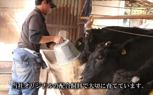 大阪産 和牛 なにわ 黒牛 ロース ステーキ 250g × 2枚 (合計500g) 