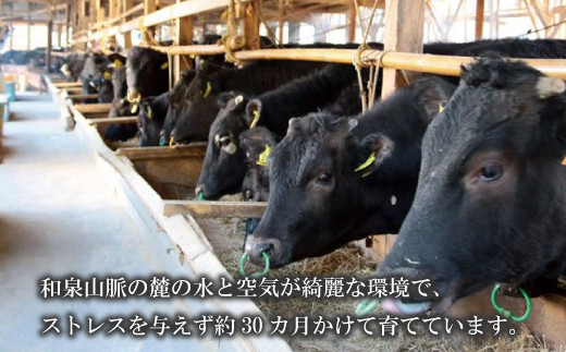 大阪産 和牛 なにわ 黒牛 ロース ステーキ 250g × 2枚 (合計500g) 