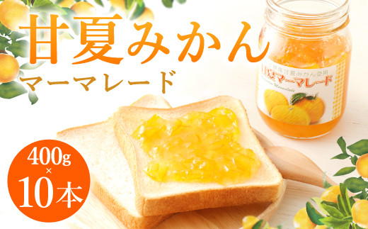 甘夏みかん マーマレード 400g×10本 瓶入り