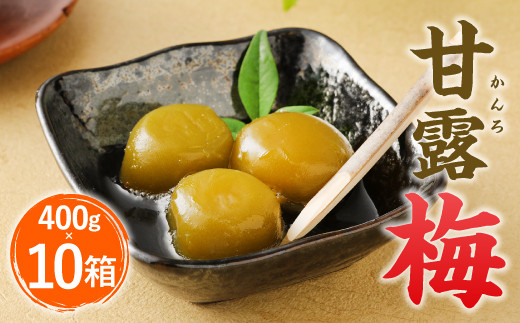 甘露梅 400g×10箱 佐賀県産 甘露煮 梅