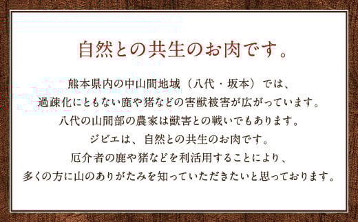 わんちゃん用 鹿生サイコロステーキ ジビエ 300g×3 計約900g