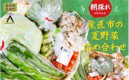朝採れ産直市の夏野菜詰め合わせ