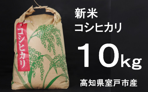 令和３年産 室戸産新米コシヒカリ１０ｋｇ 高知県室戸市 ふるさと納税 ふるさとチョイス