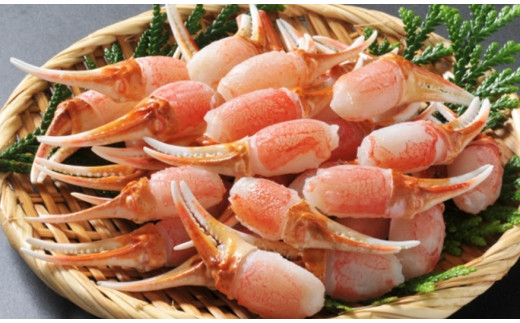 9 生ずわい蟹 カニ爪肉 約1 0kg 約500g 2 Na02 大阪府阪南市 ふるさと納税 ふるさとチョイス
