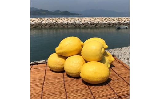 青いレモンの島　ジャンボレモン2kg(冷蔵)【1113730】 319599 - 愛媛県上島町
