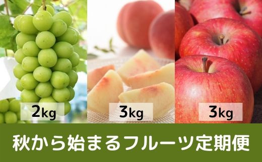 写真はイメージです