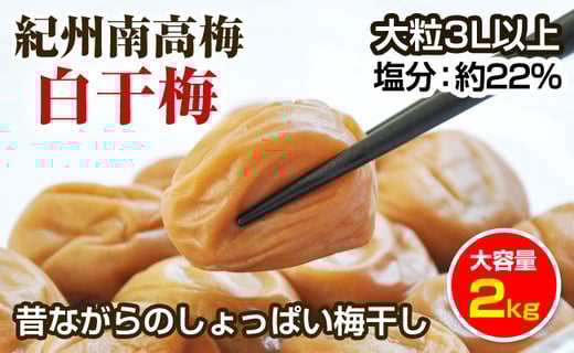 白干梅 梅干し 2kg 大粒3l以上 紀州南高梅 無添加 和歌山県御坊市 ふるさとチョイス ふるさと納税サイト