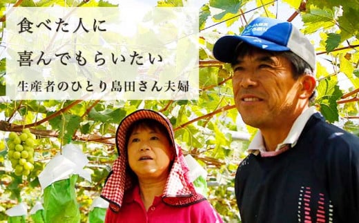 代々受け継がれてきた農業を営まれている島田さん夫婦。農業指導員をしていた経験を生かし、多種多様な農作物を育てています。