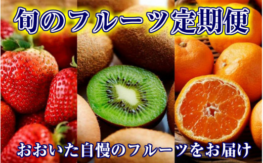 おおいた旬のフルーツ11月から定期便/2ヶ月毎計3回発送