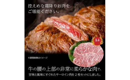 アイテムID:324758の画像2枚目