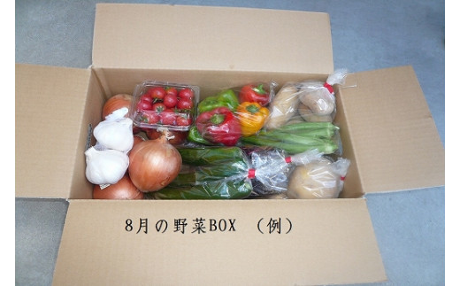 【淡路夢ファーム】　おまかせ野菜BOX