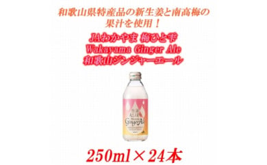 炭酸飲料 ふるさと納税の返礼品一覧 人気順 21年 ふるさと納税ガイド