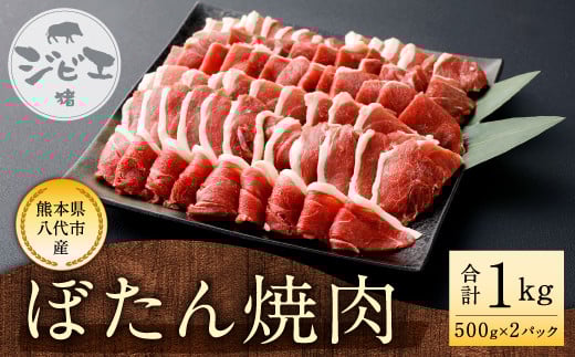 八代産 ぼたん 焼肉 猪肉 ジビエ 500g×2 約1kg もも肉