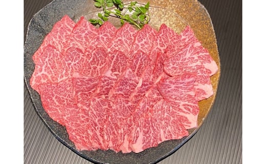 和歌山県産 黒毛和牛 熊野牛 特選ハネシタ 希少部位 焼肉用 500g 4等級以上 和歌山県日高町 ふるさと納税 ふるさとチョイス