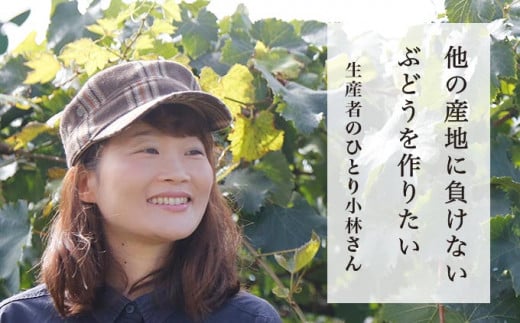島田さんは、「美味しいと言っていただくことが一番嬉しい」と美味しいぶどうを育てるため時間をかけて丁寧に栽培をしています。