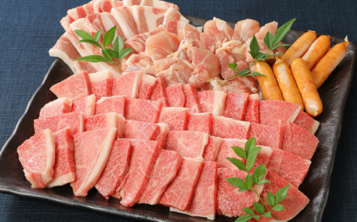 バラエティ美味 焼肉セット 牛肉 豚肉 鶏肉 1kg