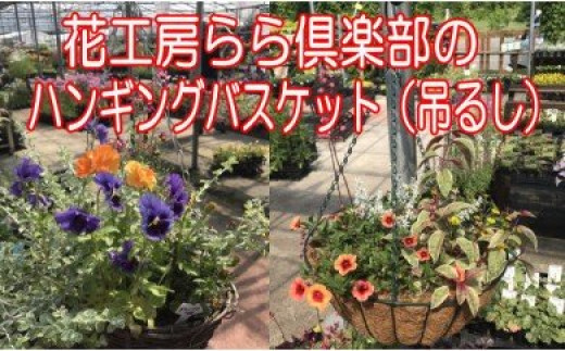 V 001 花工房らら倶楽部 ハンギングバスケット 吊るしタイプ 季節のお花 岩手県雫石町 ふるさと納税 ふるさとチョイス