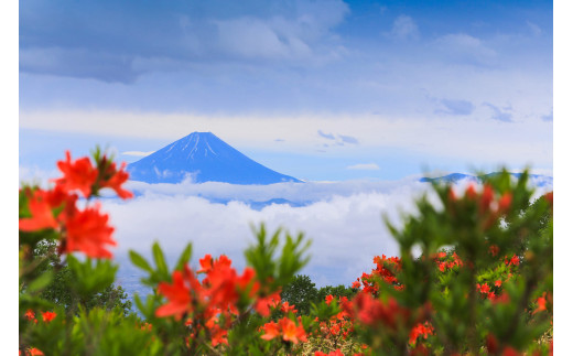 甘利山からの富士山