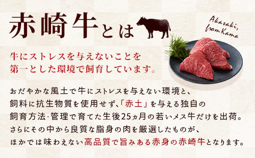 定期便6回 赤崎牛 赤身ステーキ 約600g 6ヶ月 合計3 6kg 福岡県嘉麻市 ふるさと納税 ふるさとチョイス