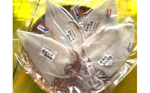 A5 151 剣先イカ刺身セット 1kg 長崎県対馬市 ふるさと納税 ふるさとチョイス
